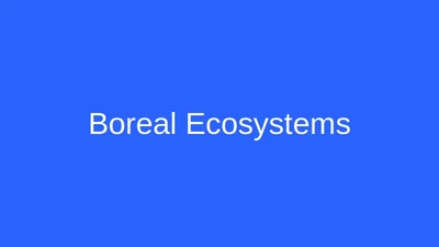 Boreal forest ecosystem forecasts featured image