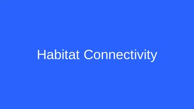 Habitat Connectivity featured image